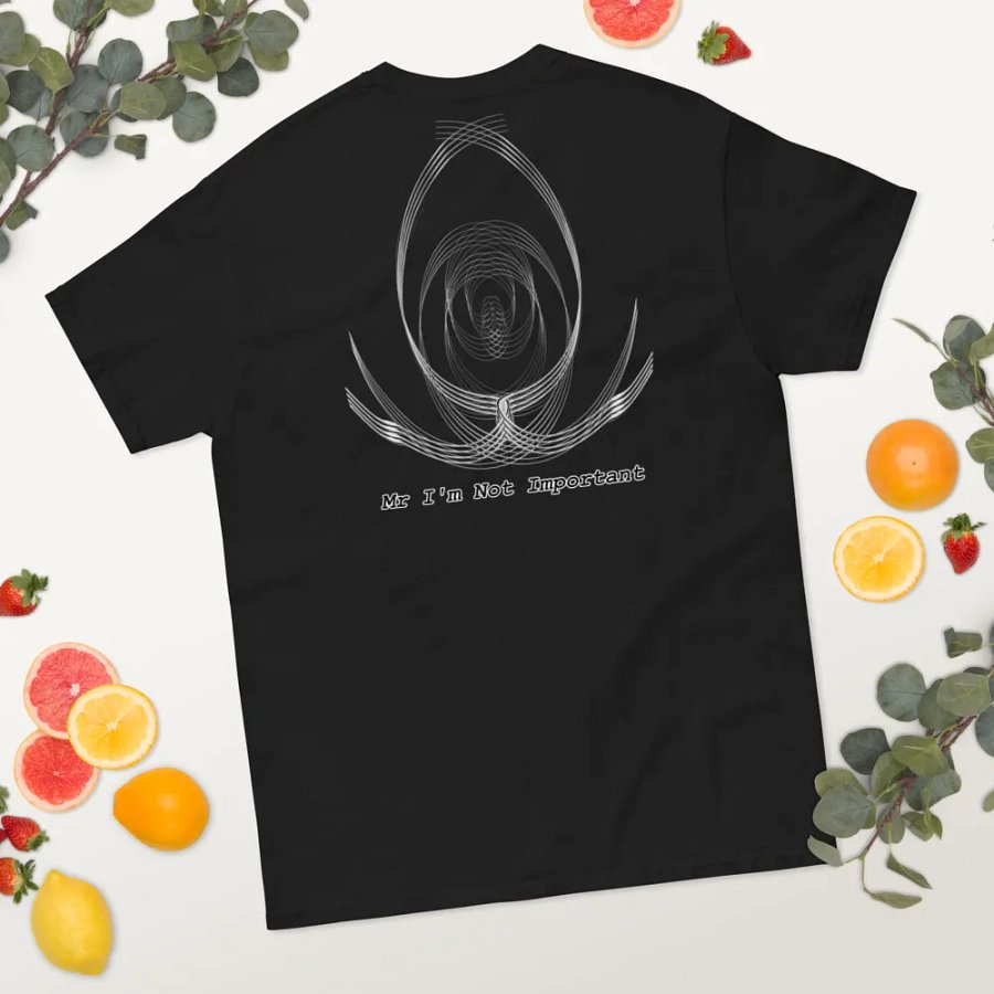 Aaron - Embroidered - Heavyweight T-Shirt - Mr. I'm Not Important product image (10)