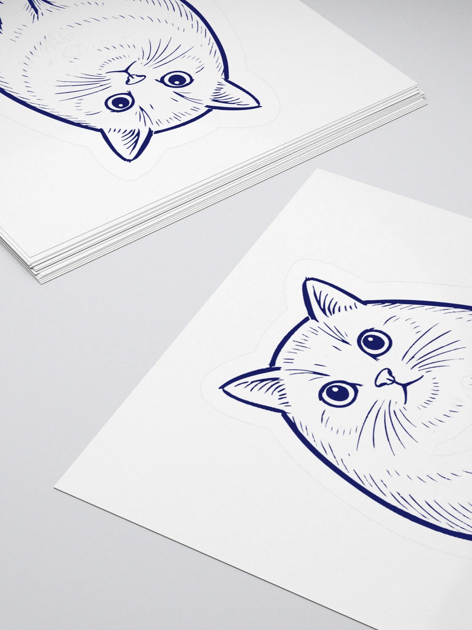 Cat product image (11)