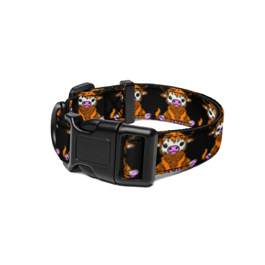 Dog Collar product image (1)