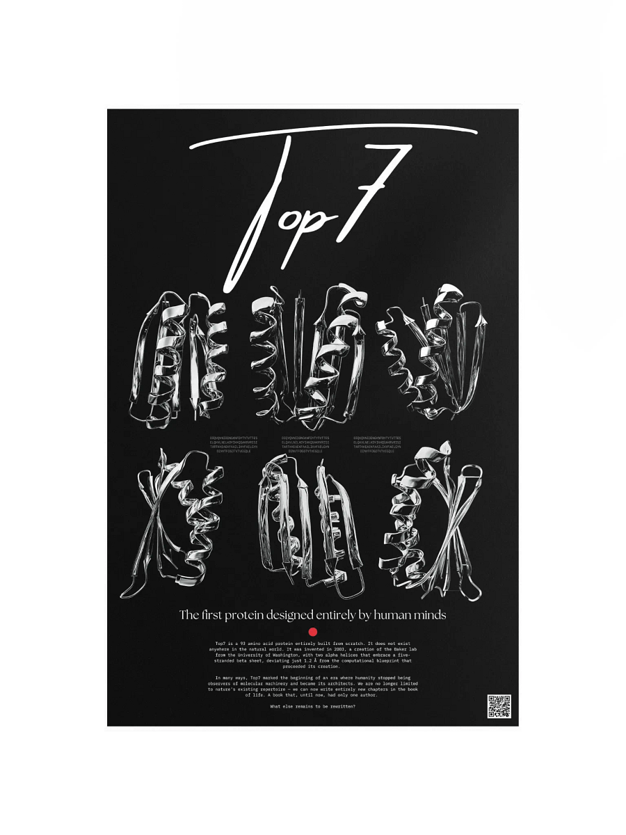 top7 product image (11)