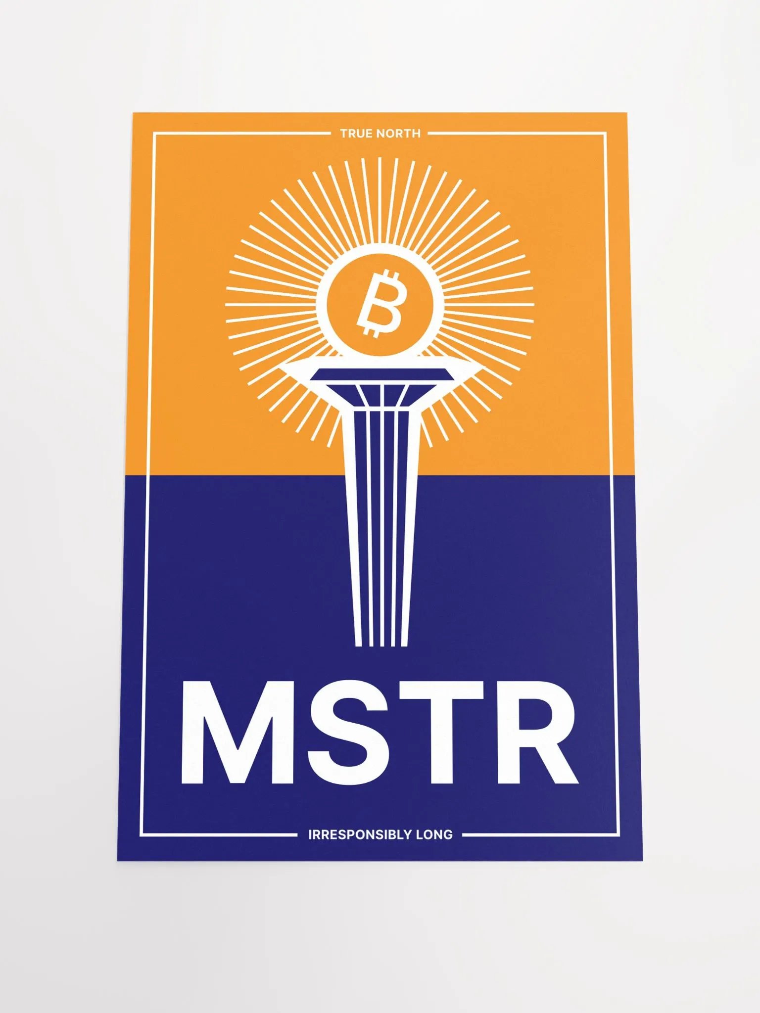 MSTR True North product image (1)