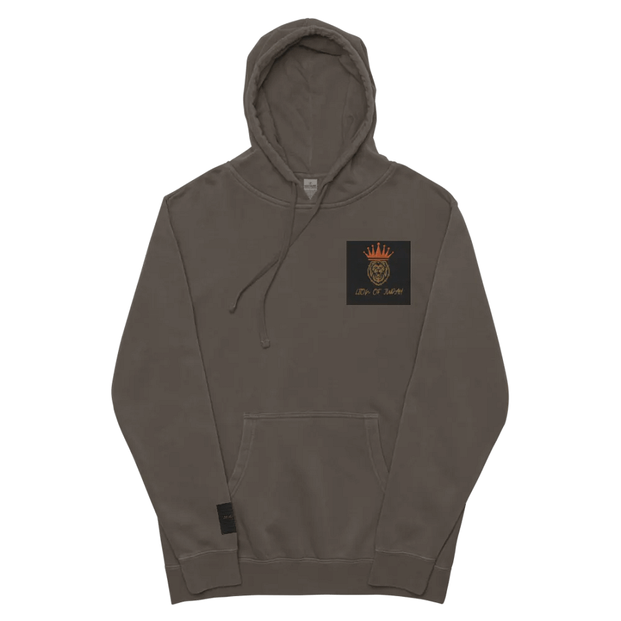 Crowned Lion of Judah Hoodie product image (10)