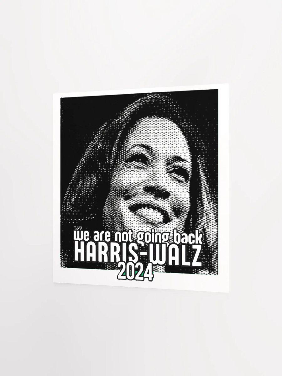 HARRIS-WALZ 2024 WE ARE NOT GOING BACK product image (9)