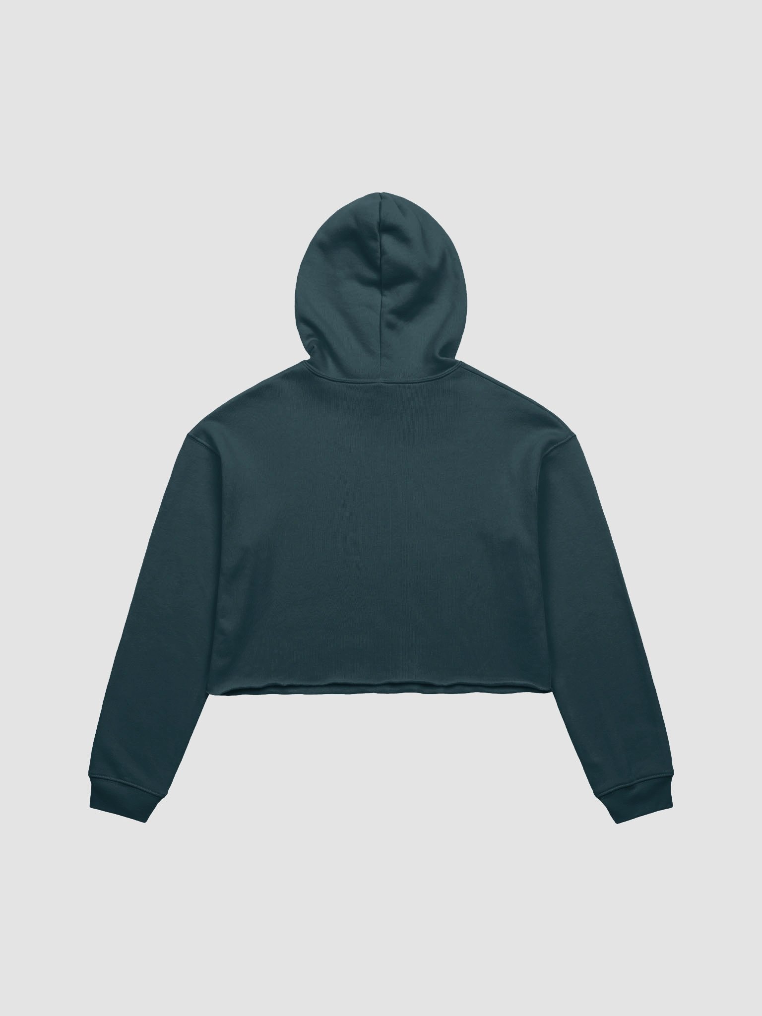 Crop Plain Logo Hoodie product image (8)
