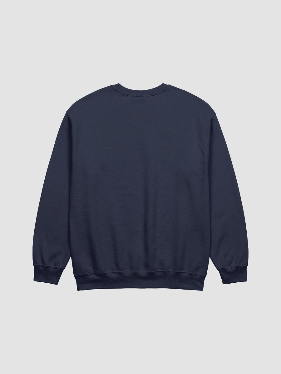 CPS Sweater product image (18)