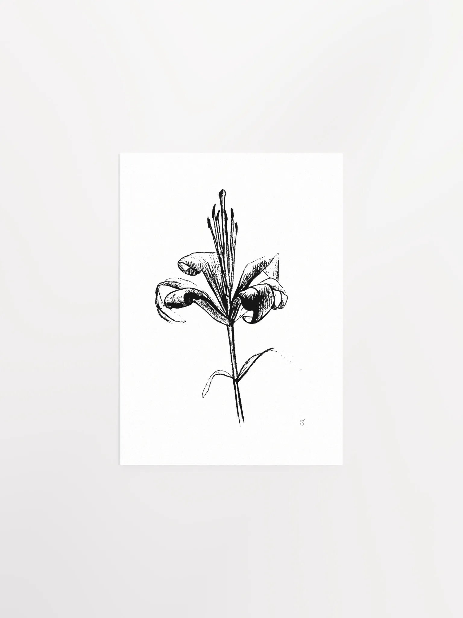 Lily Elegance Poster - Fine Flower Light product image (1)