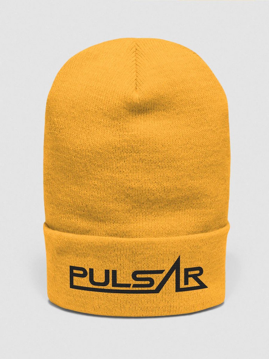 Cuffed Beanie product image (4)