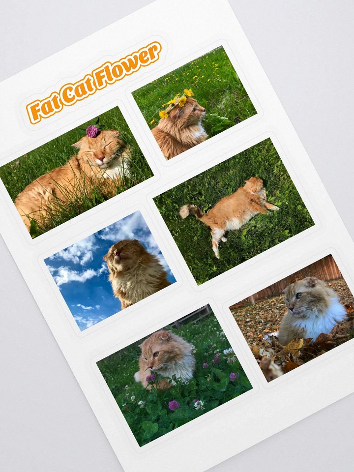 Fat Cat Flower Photos Sticker Sheet product image (1)