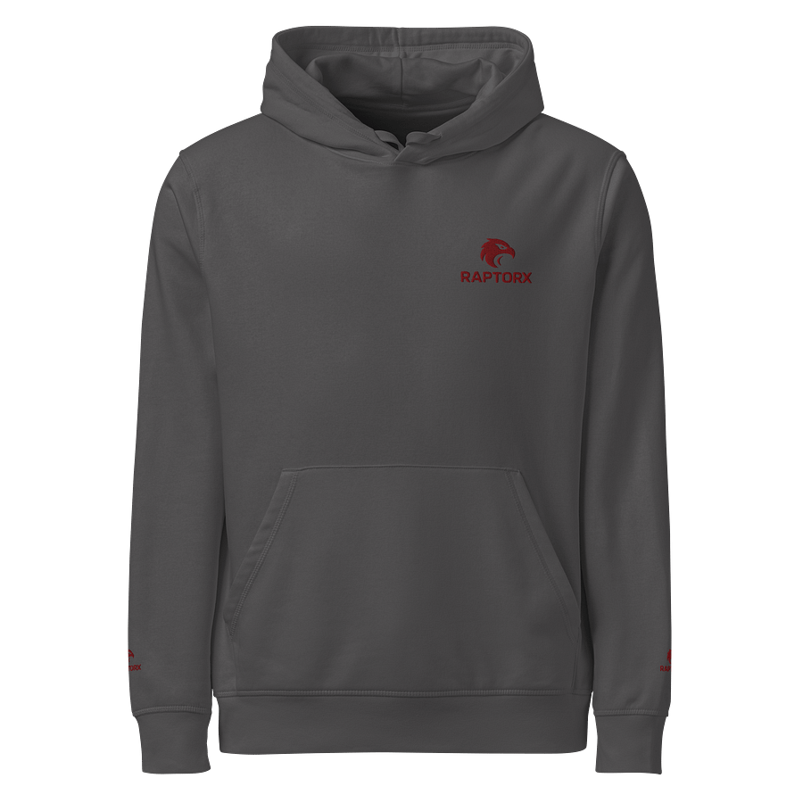 RaptorX Bold Maroon Hoodie product image (4)