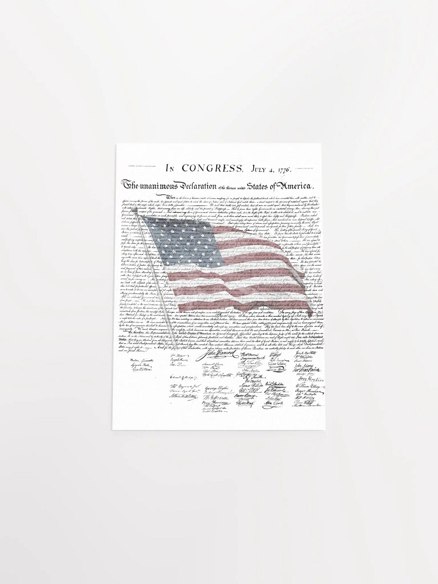 PATRIOTIC PRINT product image (20)