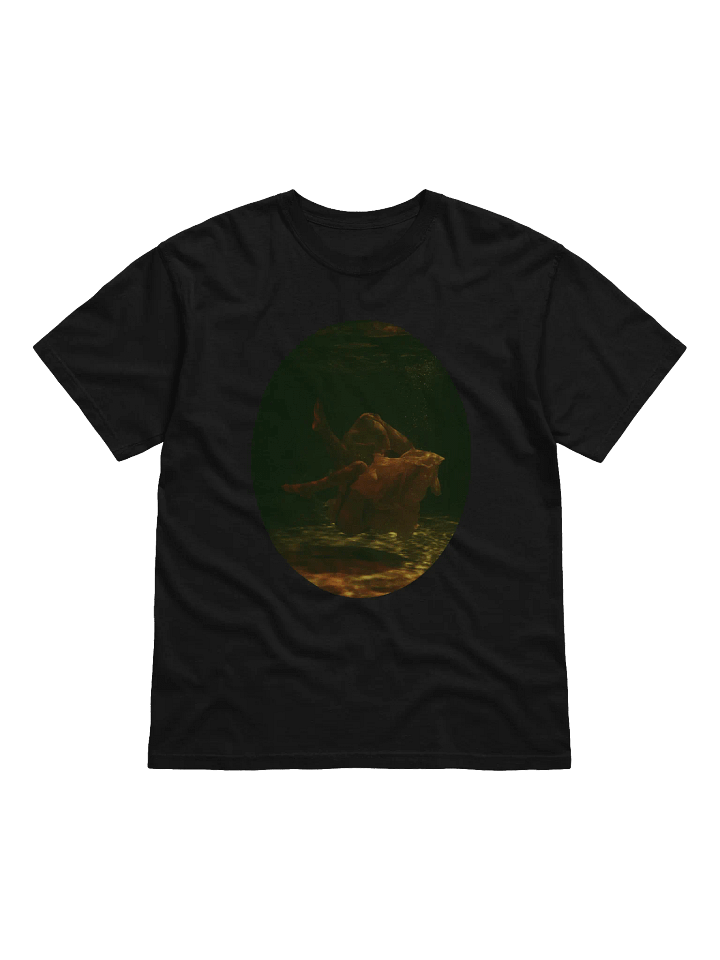 While Atlantis Gently Fades T-Shirt product image (1)