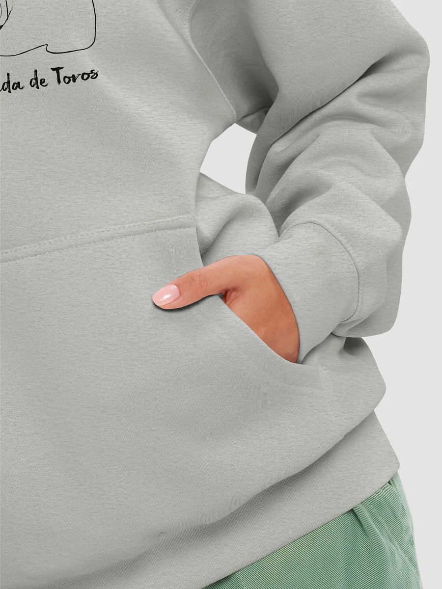 SPAIN Corrida de Toros (Bull Fighting) product image (23)