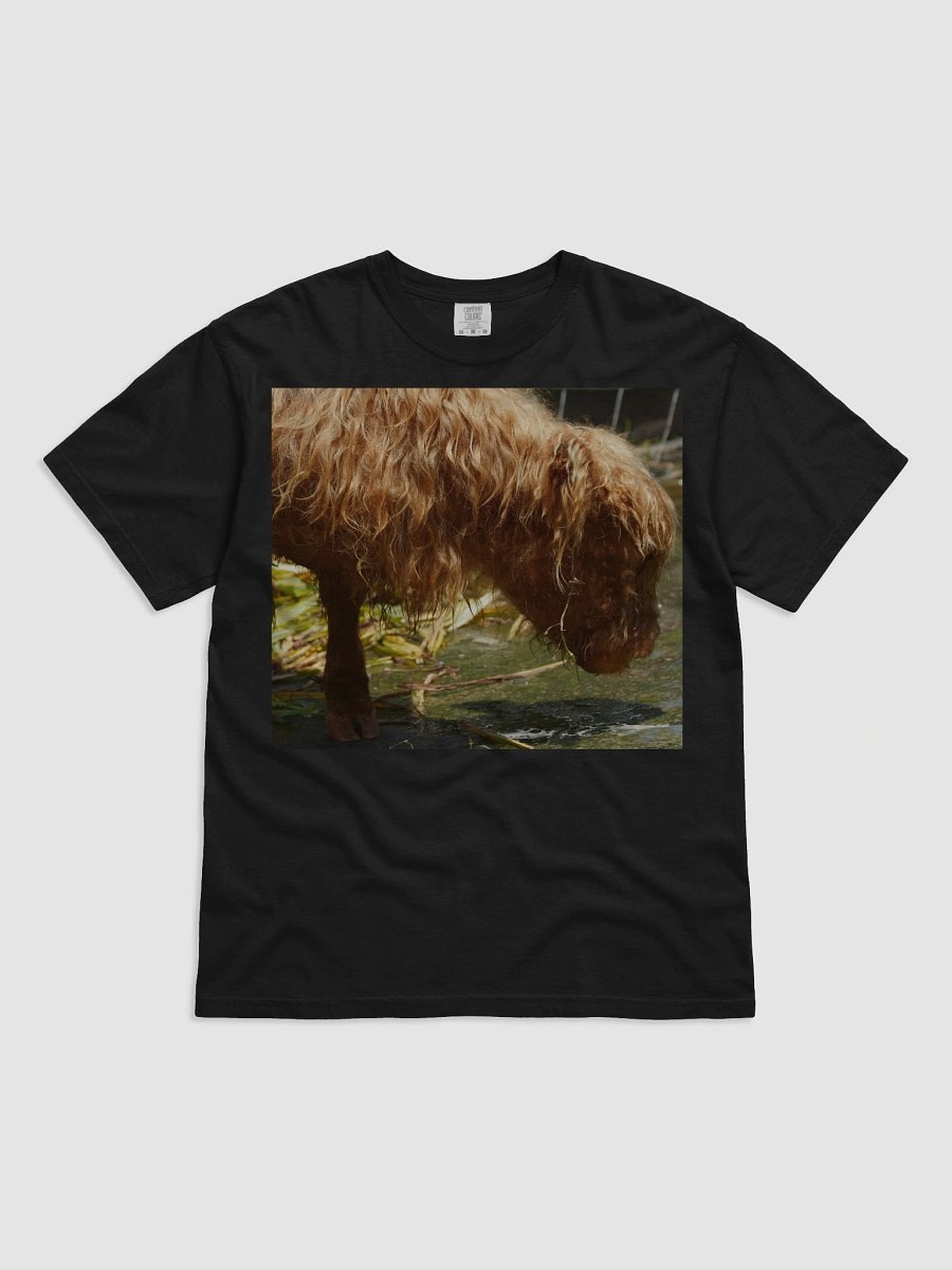 Shaggy Reflections T-Shirt product image (1)