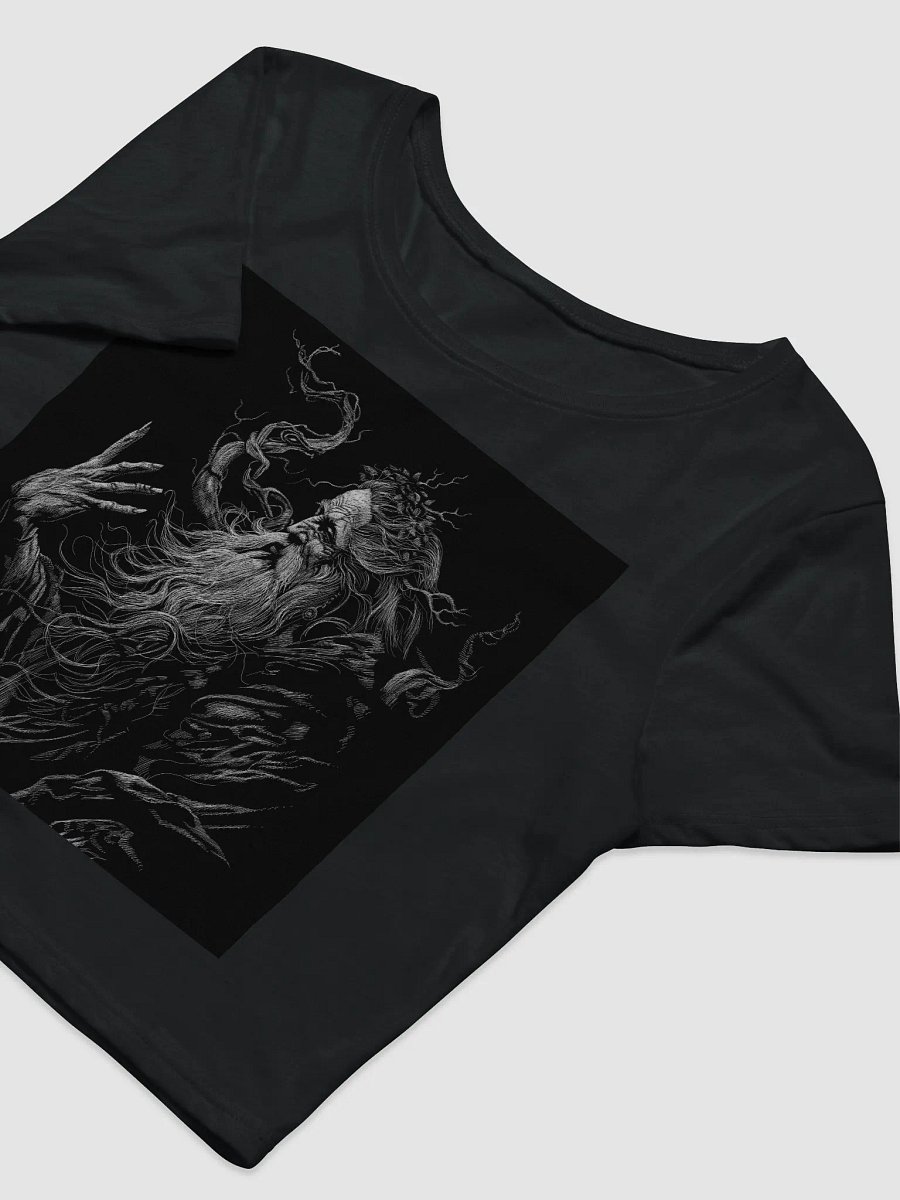 Forgotten Lore Crop Tee product image (5)