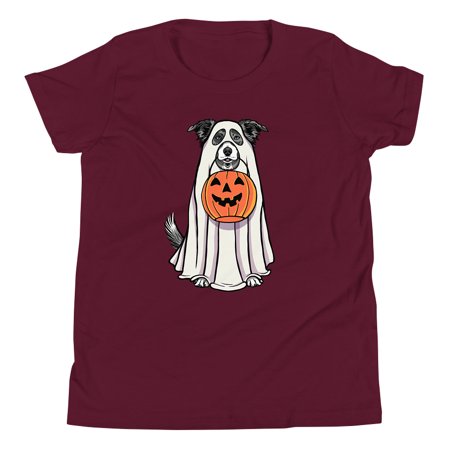 Halloween Border Collie(Blue Merle) Youth T-Shirt product image (20)