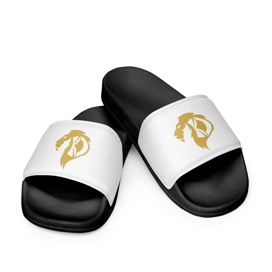 KD Hill Slides product image (11)