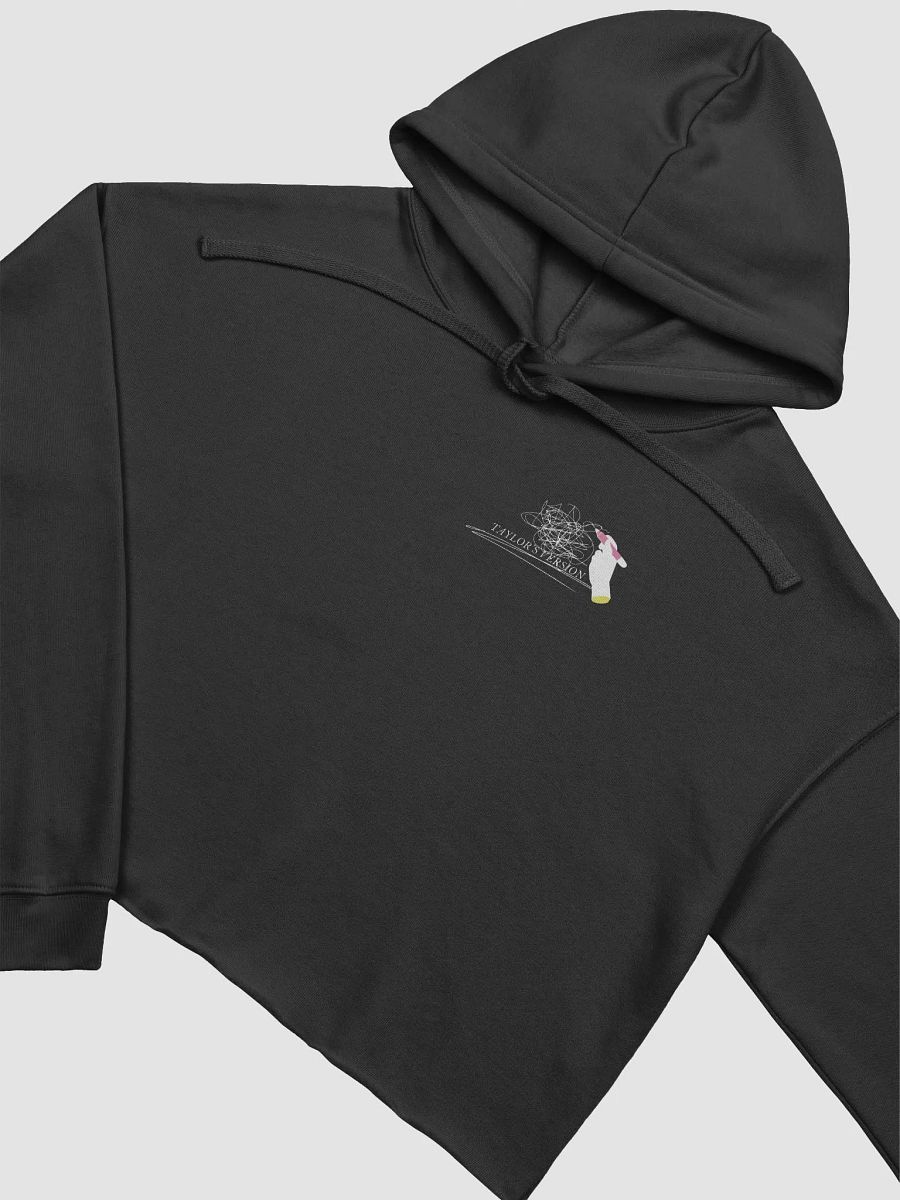 Poet Cropped Hoodie product image (3)