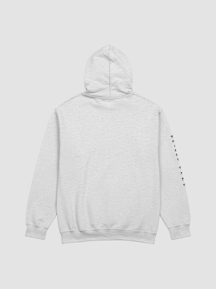 Stars & Stripes Grizzy Bear Hoodie product image (2)