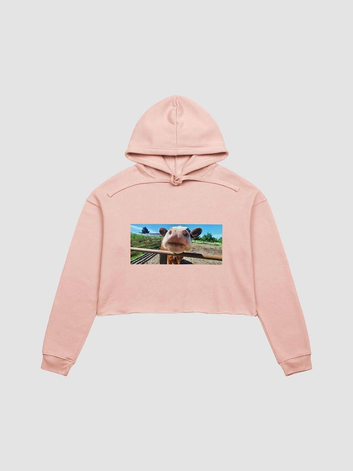 Cozy Cowrner product image (2)