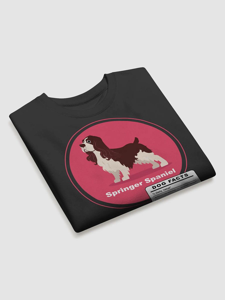 Springer Spaniel Dog Facts product image (3)