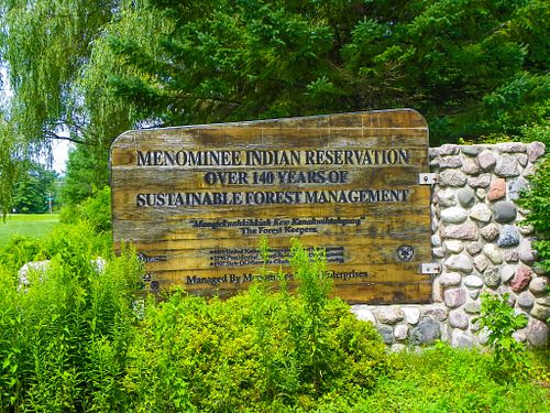In this Native America Calling podcast, Tribal forestry experts discuss the need to balance production, land management for c...