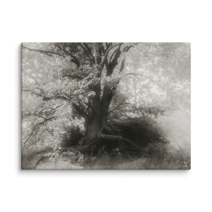 Old Lovers, entwined product image (1)