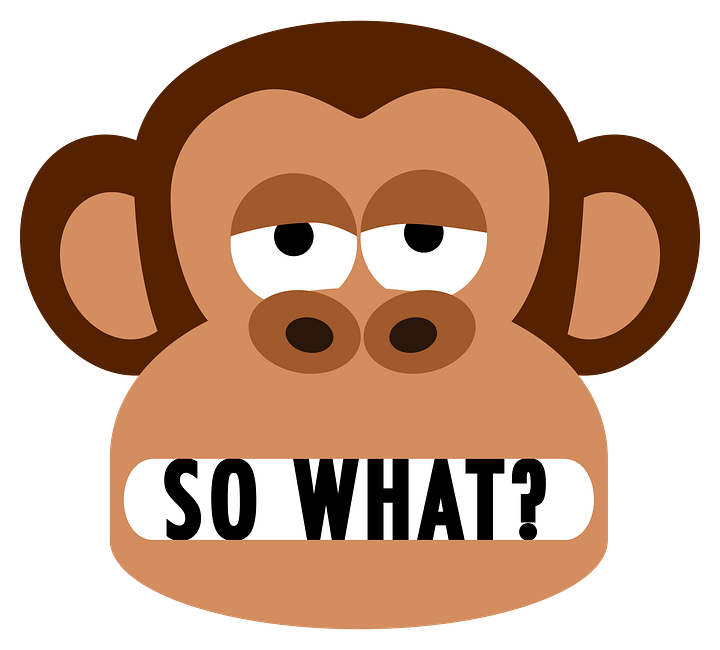 Rude Bored Monkey Doesn't Care T-Shirt product image (2)