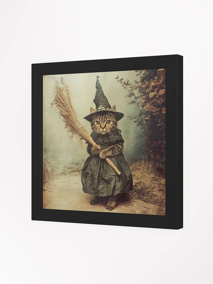 Grey Tabby Cat Witch Photography Wall Art product image (12)