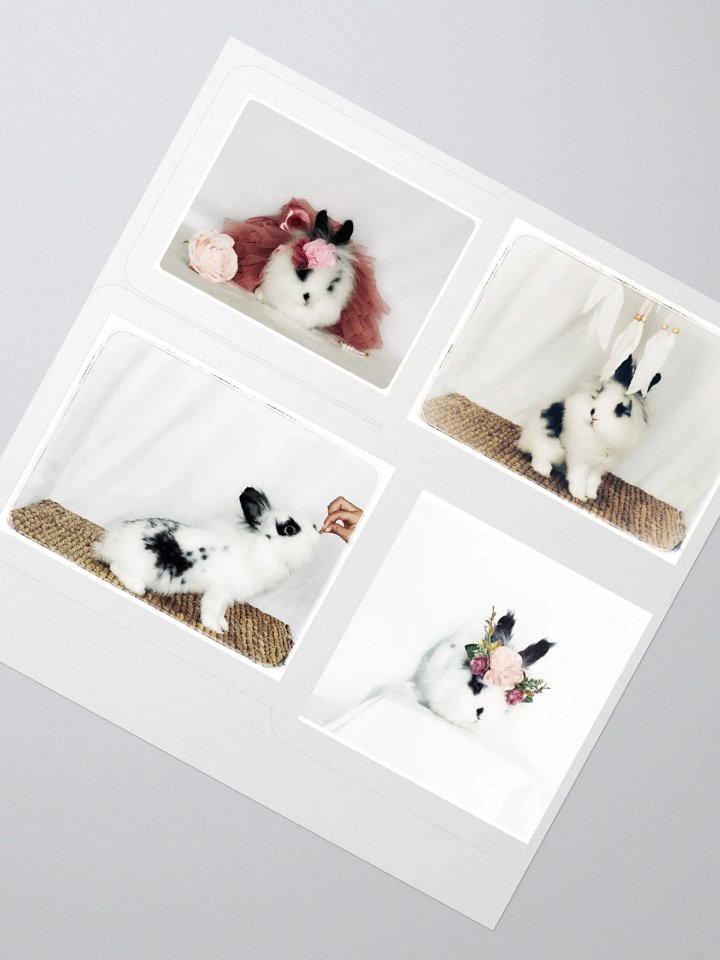 Coco Kiss Cut Stickers product image (6)