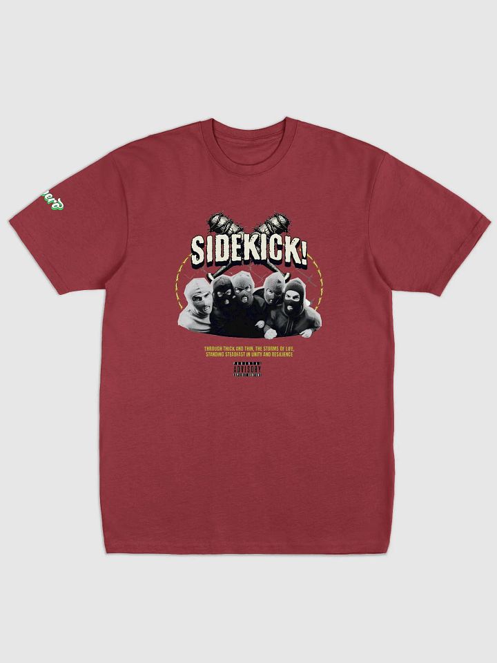 SideKick Aspero Cotton Heritage Men's Premium Heavyweight Tee product image (11)
