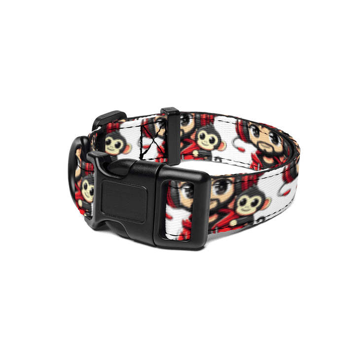RobbinHudz Pet Collar product image (1)