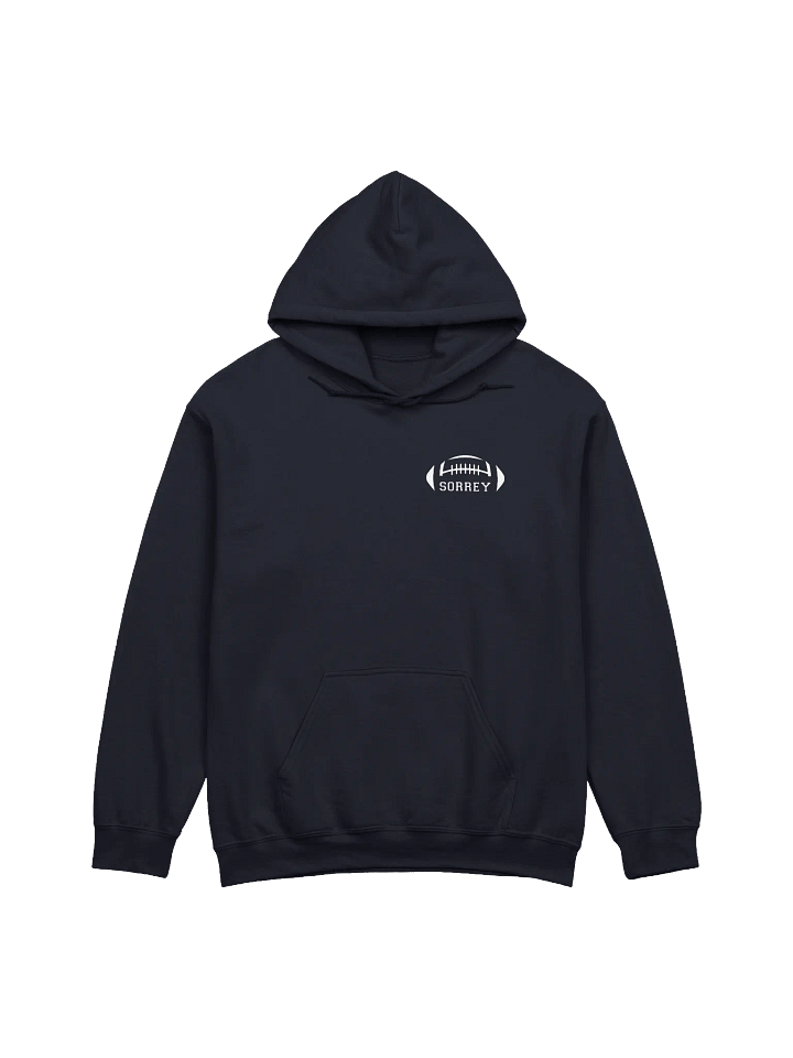 Falls Out Balls Out - Hoodie product image (37)