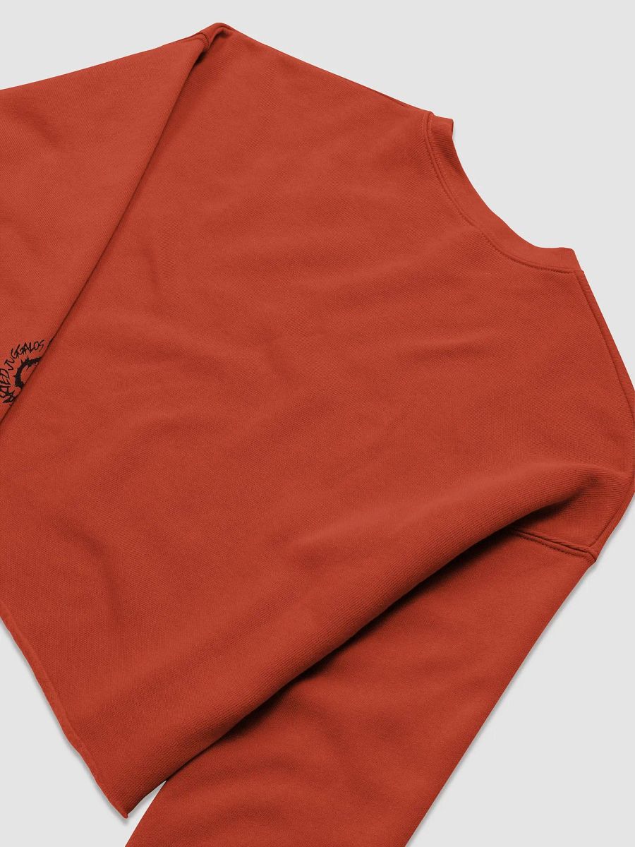 .strife OJARS LOGO CROP TOP SWEATER product image (6)
