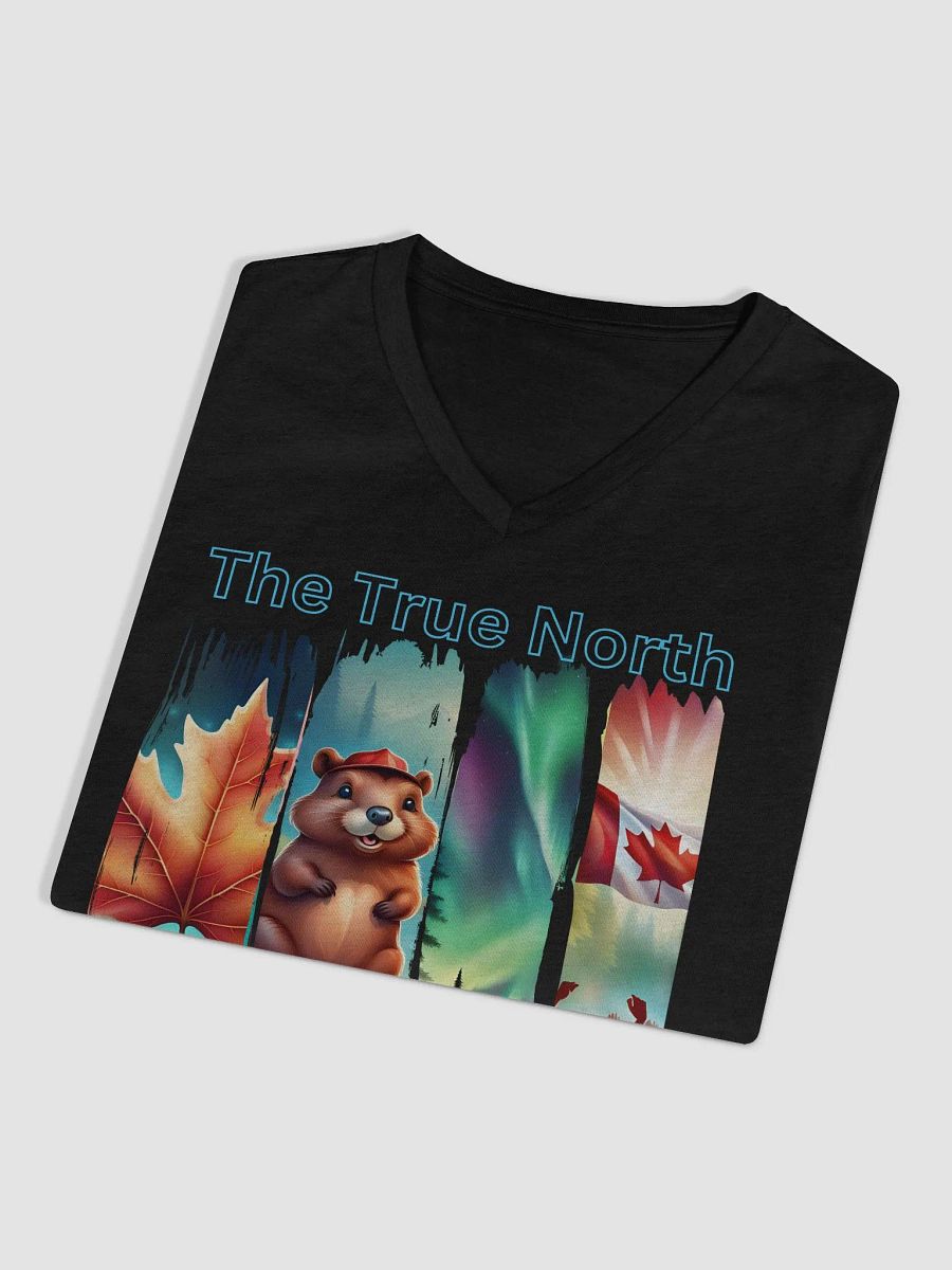 True North Vibe Women's V-Neck Tee product image (15)