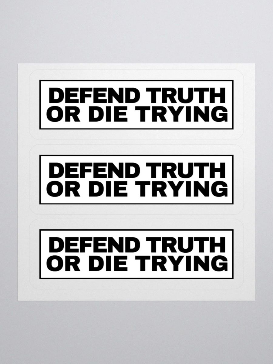 "Defend Truth Or Die Trying" Sticker Sheet product image (1)