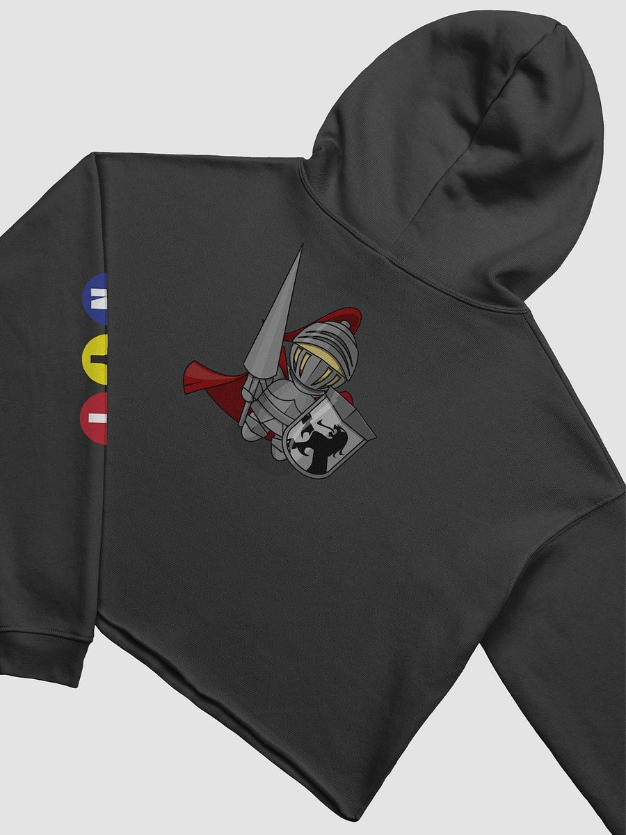 NYT CROP HOODIE product image (13)