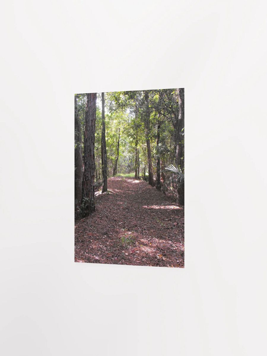 Florida Trail product image (20)