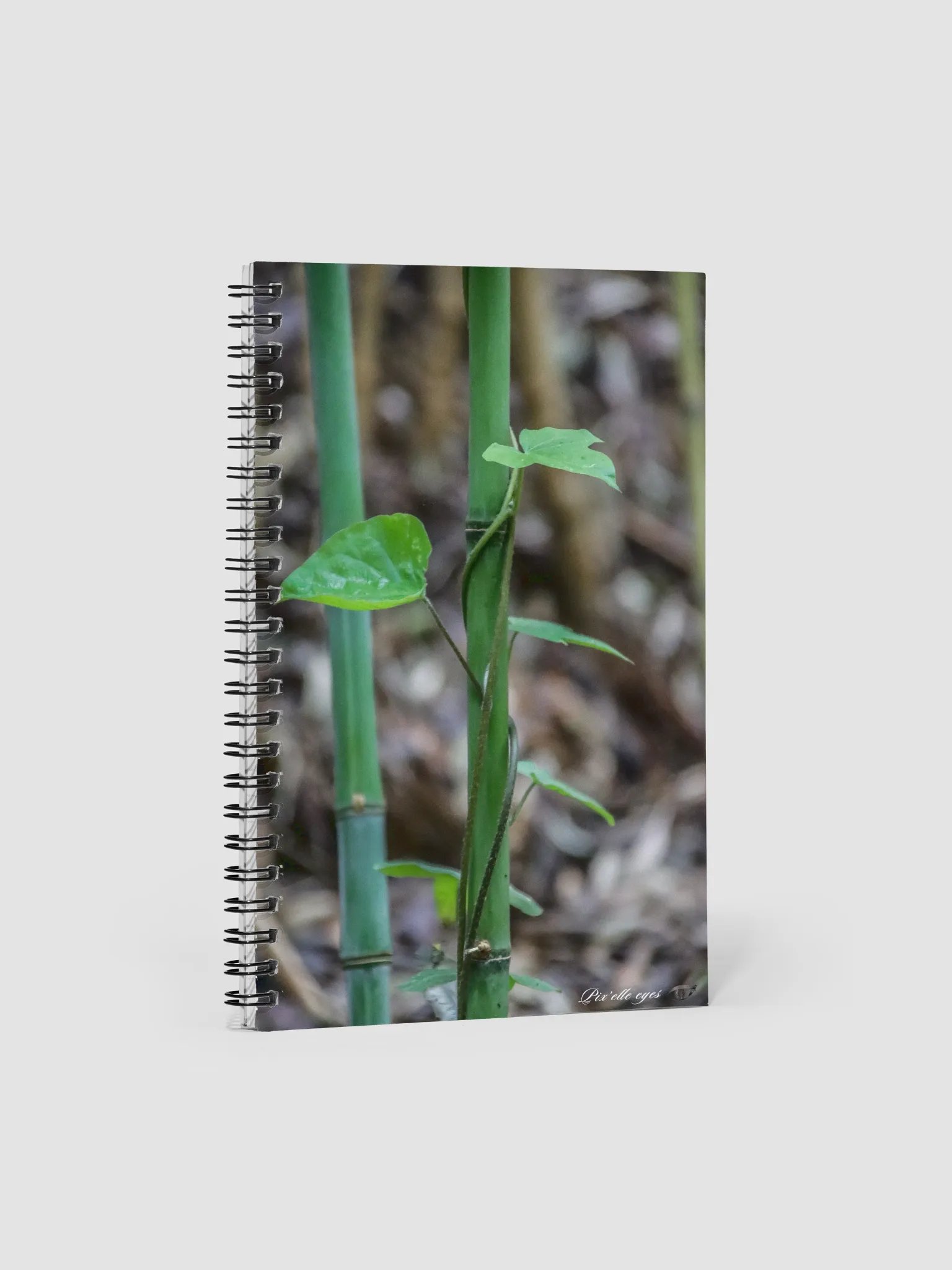 📘 Notebook Collection PURE – Jardin du Rayol – Liane et bambou product image (1)