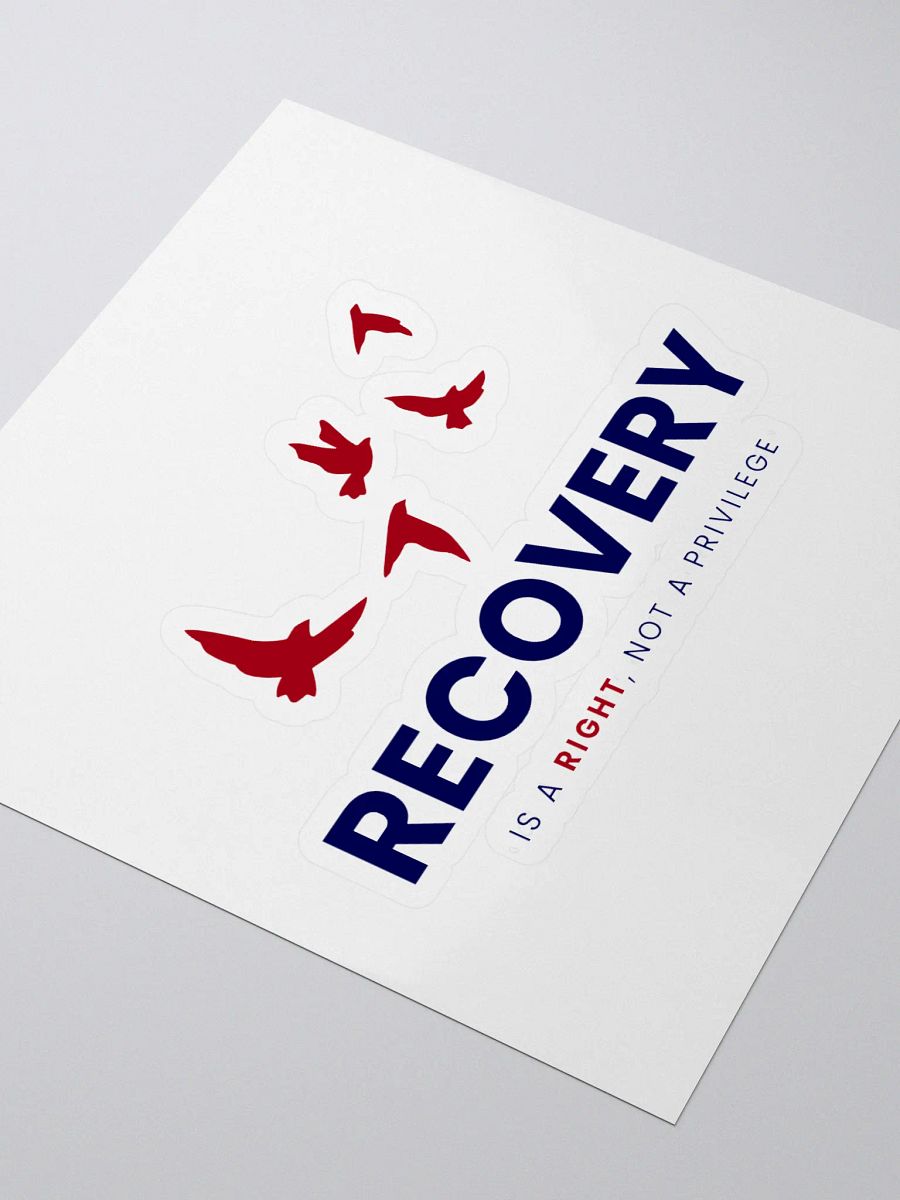 Recovery is a Right, Not a Privilege product image (3)