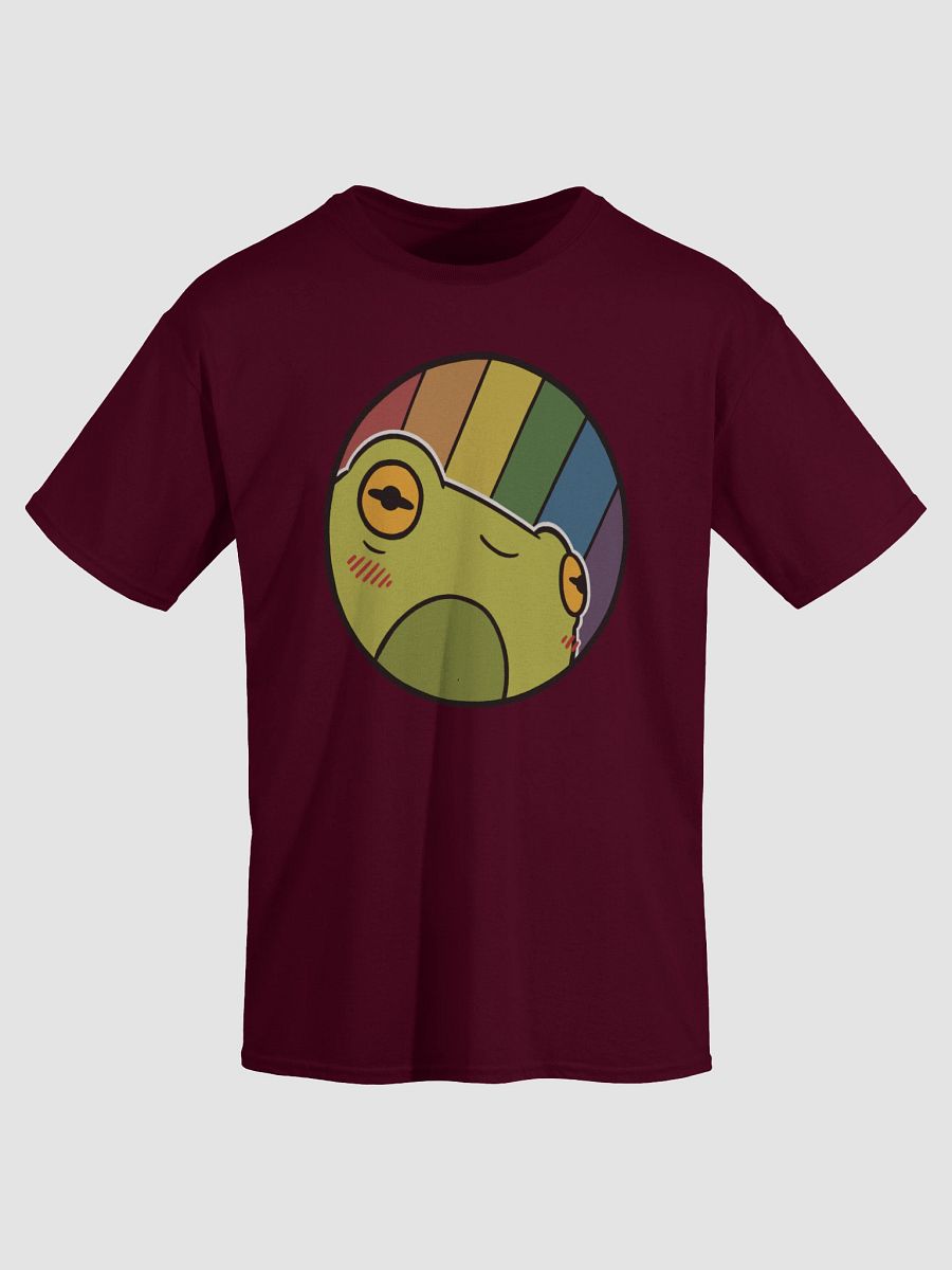 t-shirt : froge rainbow-muted product image (2)