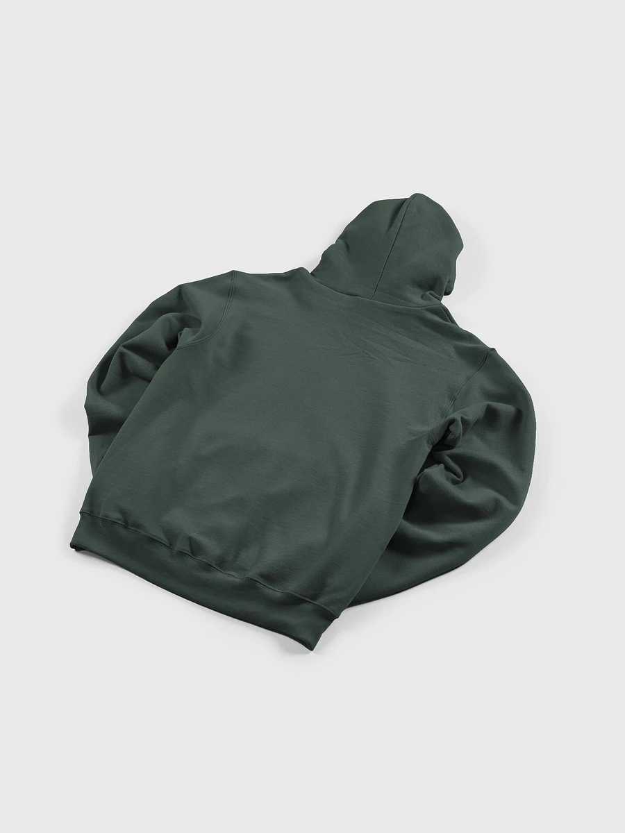 Rare DGR Logo Hoodie - Heather Forest product image (4)