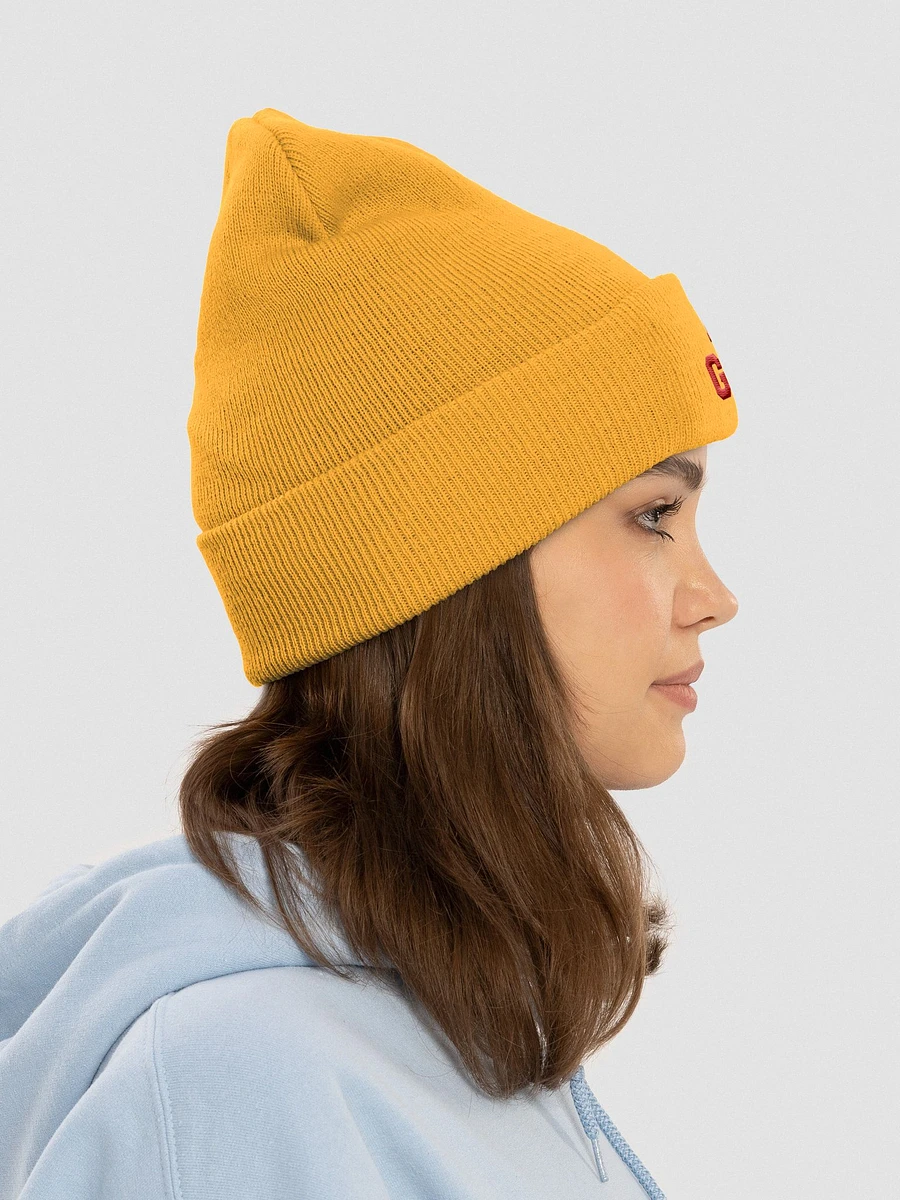 Bad Genes embroidered beanie product image (30)