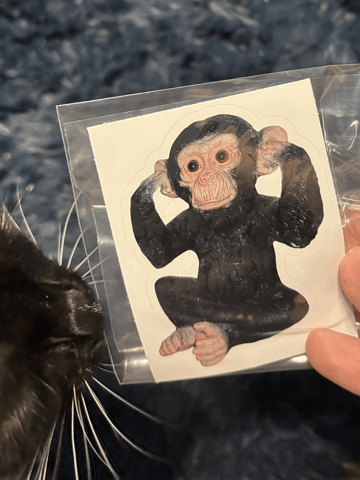 cursed ape sticker product image (2)
