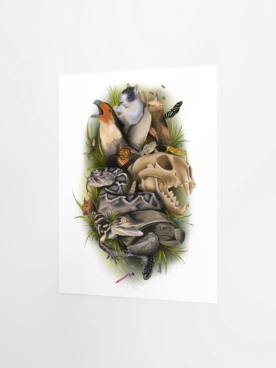 Wild Animals of Florida product image (5)