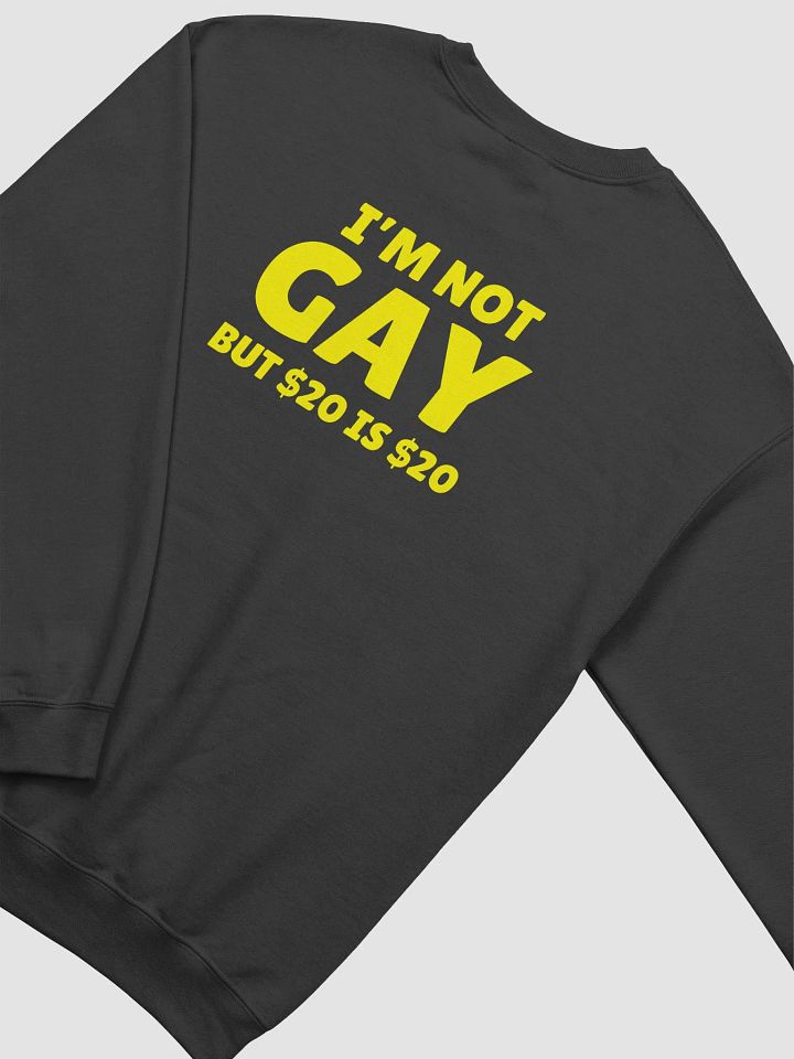 Not Gay But $20 is $20 Back Print Unisex Sweatshirt product image (2)
