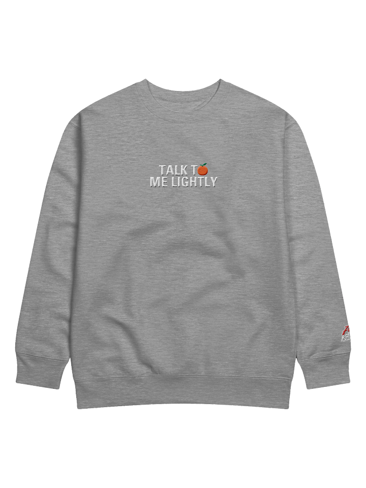 Talk To Me Lightly Embroidered Crewneck product image (1)