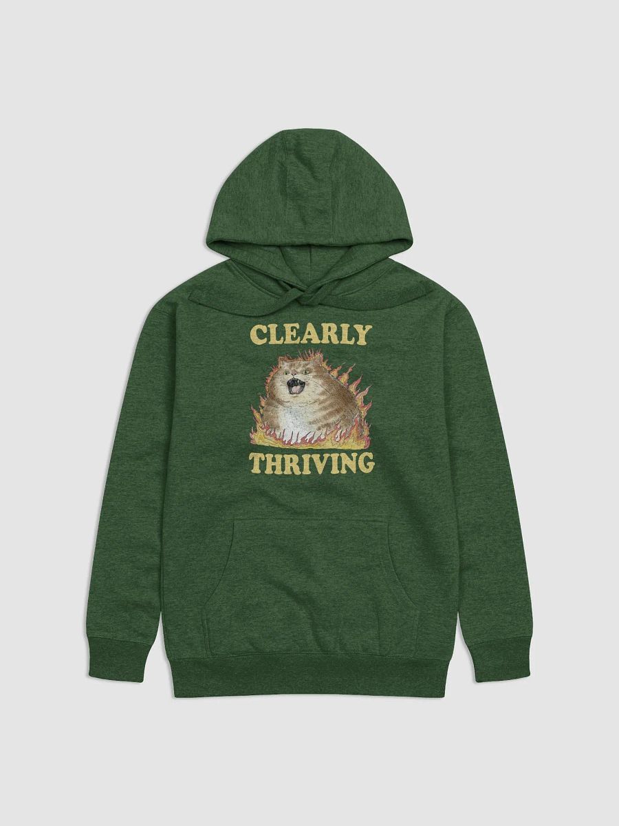 Clearly Thriving Hoodie (BB x CH) product image (1)