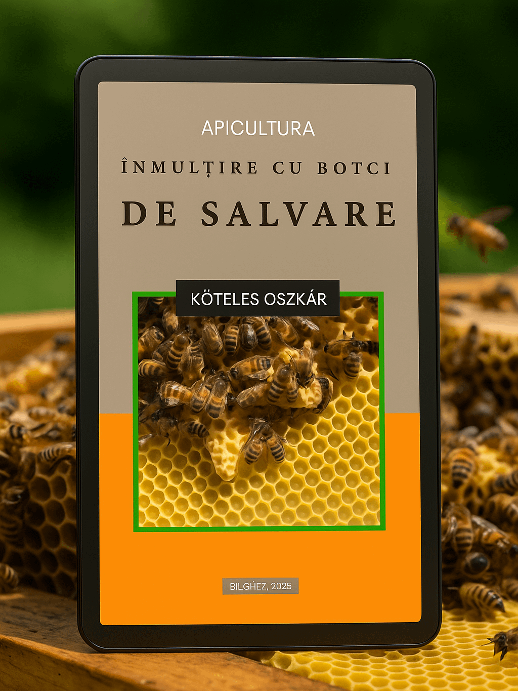 Apicultura - Înmulțirea albinelor cu botci de salvare product image (2)