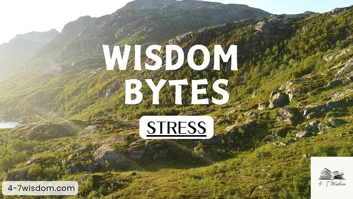 Wisdom Bytes: Stress product image (1)