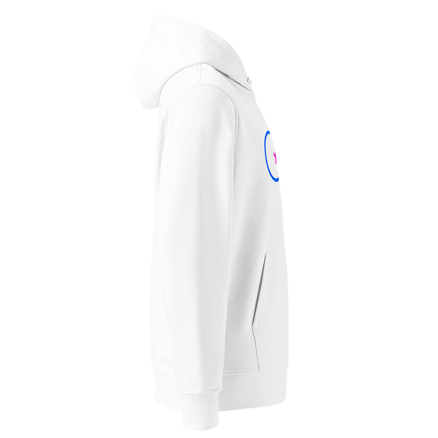 Traditional Normal Gender Identity Organic Hoodie product image (4)